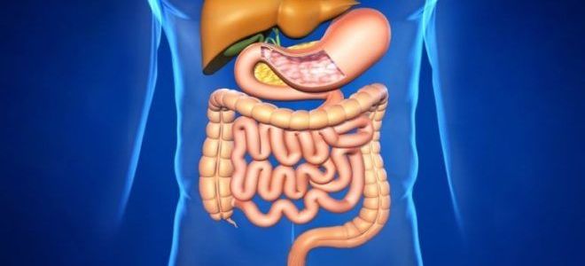 Лечение при остановке работы желудка