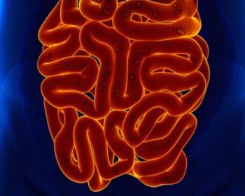 Причины развития амебной дизентерии, способы лечения и профилактики