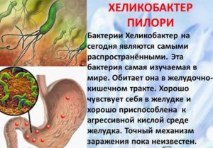 Хеликобактер является одной из причин заболевания поджелудочной железы
