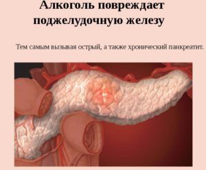 алкоголь влияет на функции поджелудочной железы
